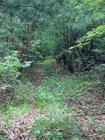 16. 17.75 Ac County Road G