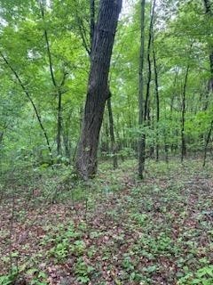 20. 17.75 Ac County Road G