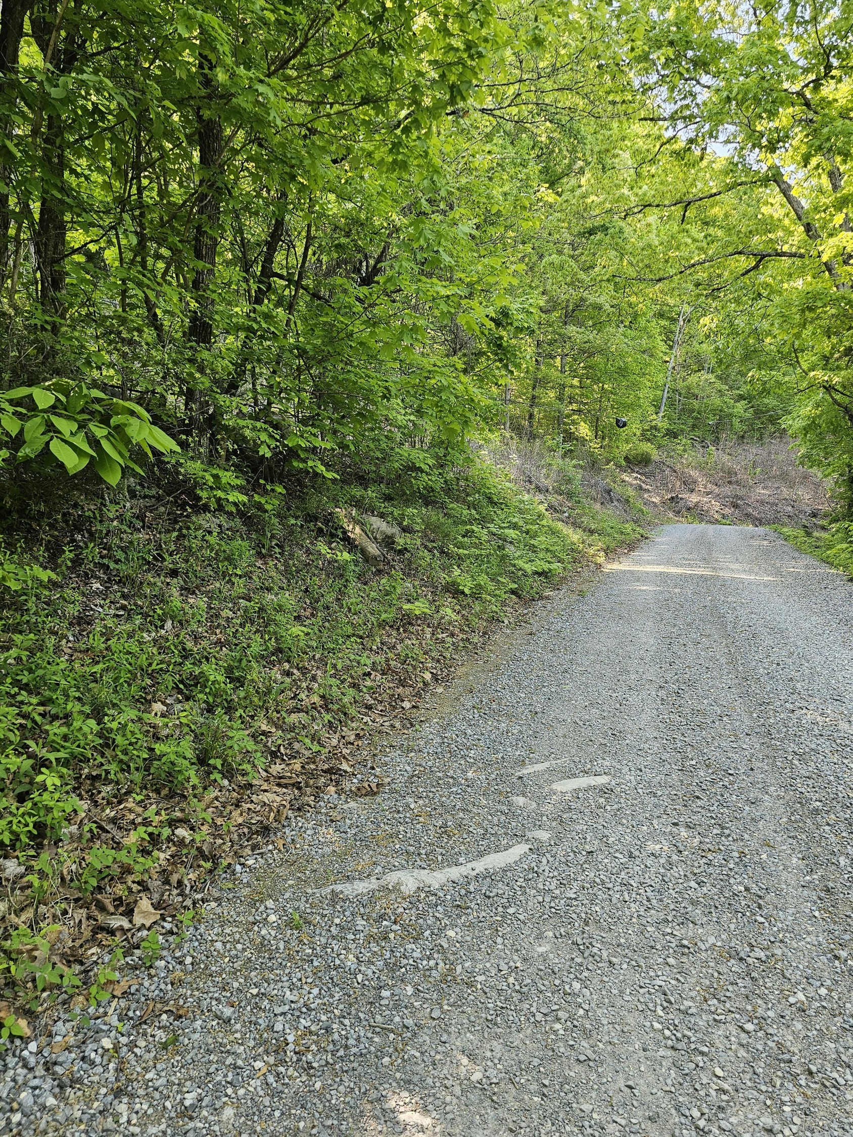 1. Neddy Mountain Road