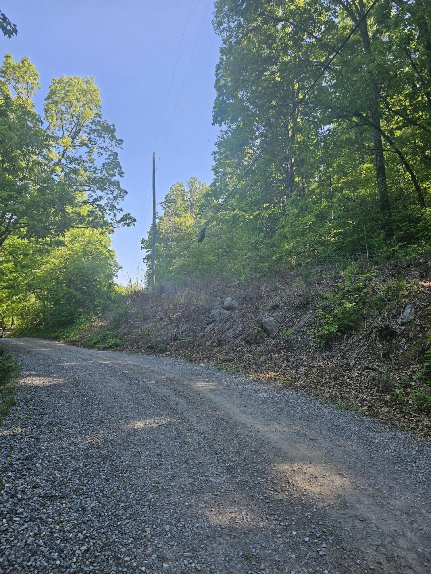 2. Neddy Mountain Road