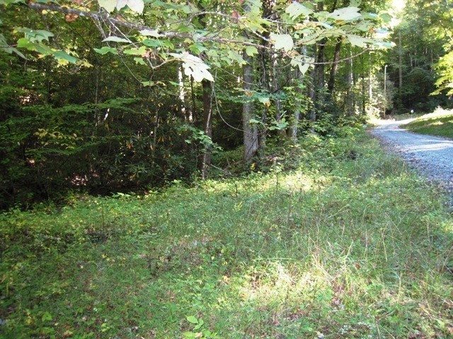 8. Lot 2 Rhododendron Dr