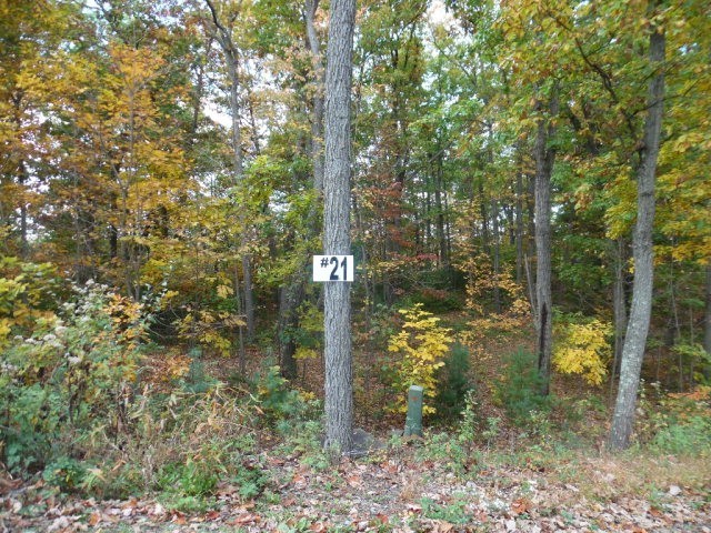 1. Lot 21 Raystown Reach