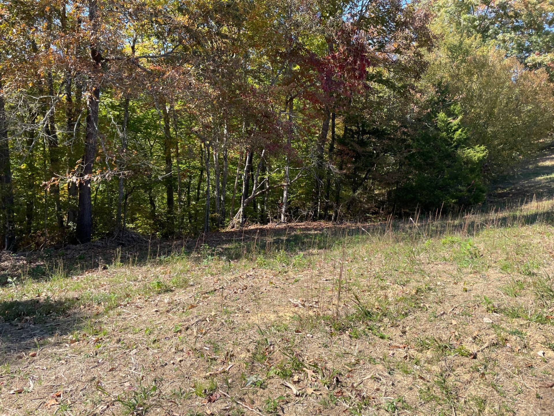 7. 3.180 Acres Near Dale Hollow State Park