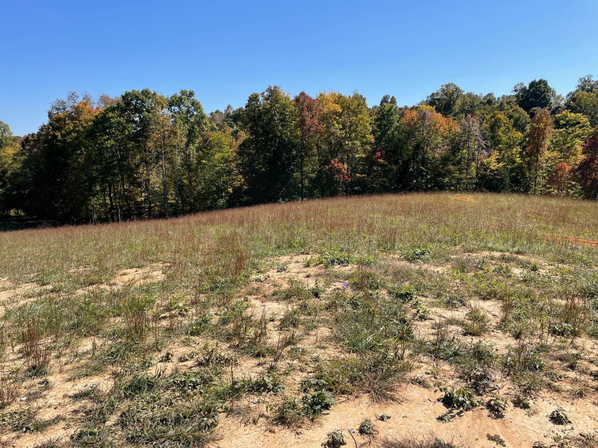 3. 3.180 Acres Near Dale Hollow State Park