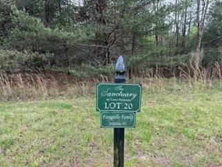 6. Lot 20 The Sanctuary At Vance Mountain