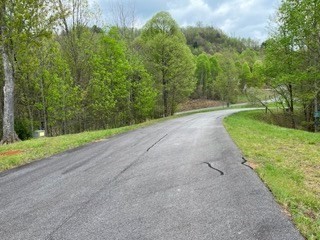 13. Lot 20 The Sanctuary At Vance Mountain