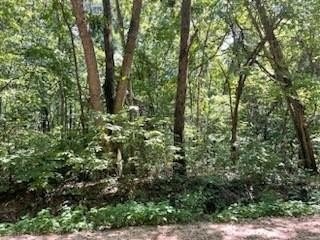 2. Lot 289 Ivy  Ln