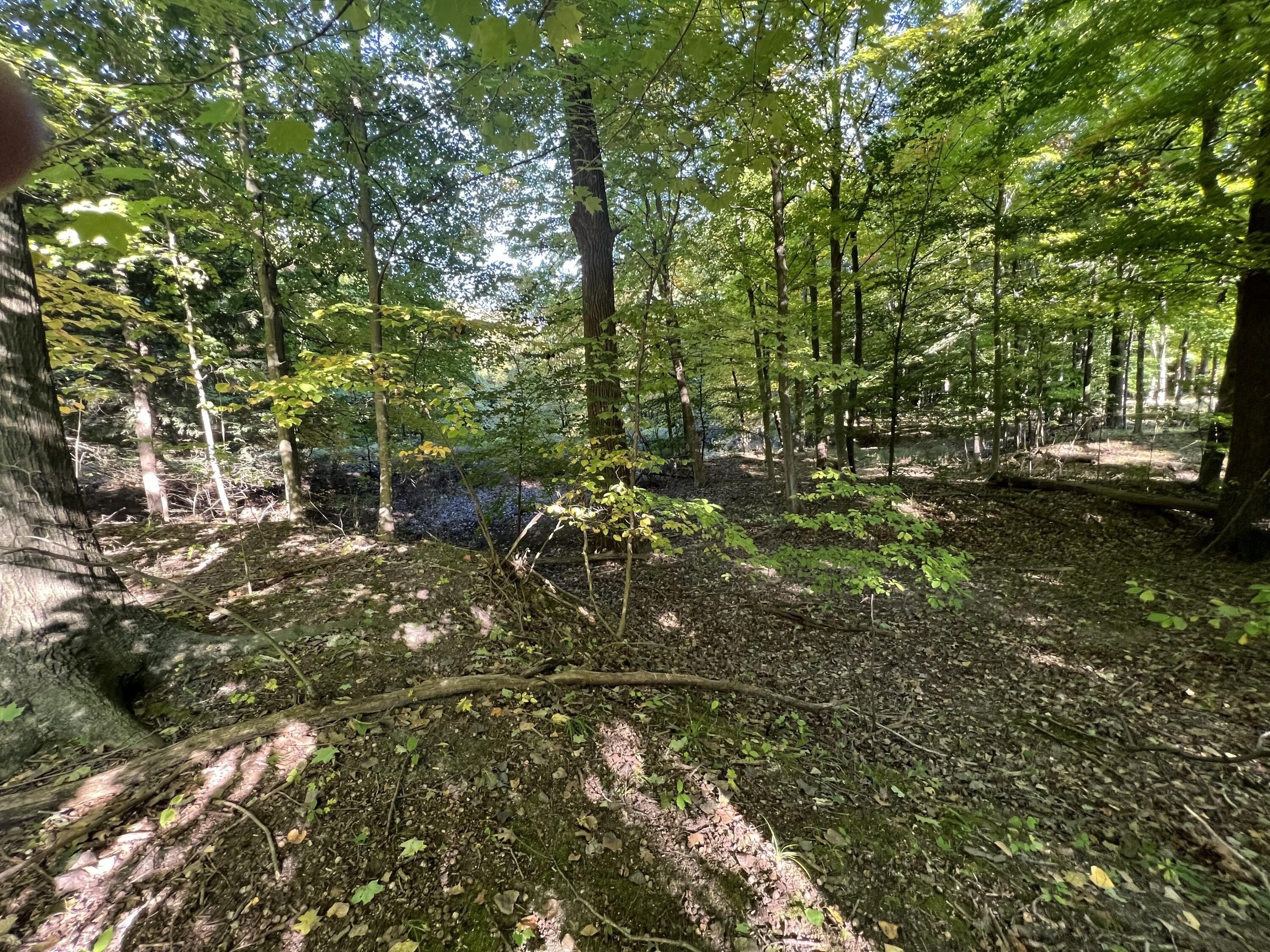 1. Lot 55 Creekwood Drive