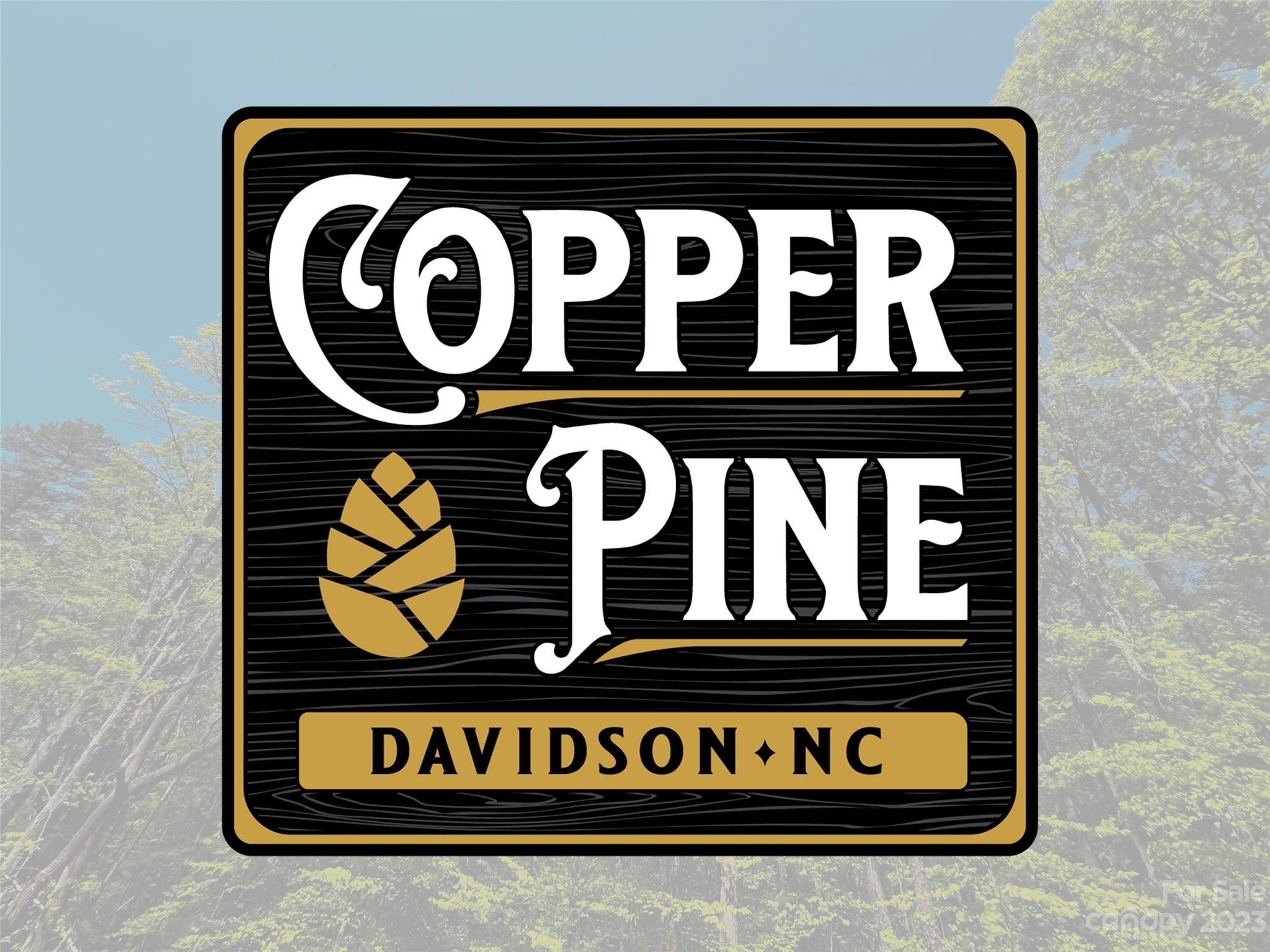 8. 146 Copper Pine Lane