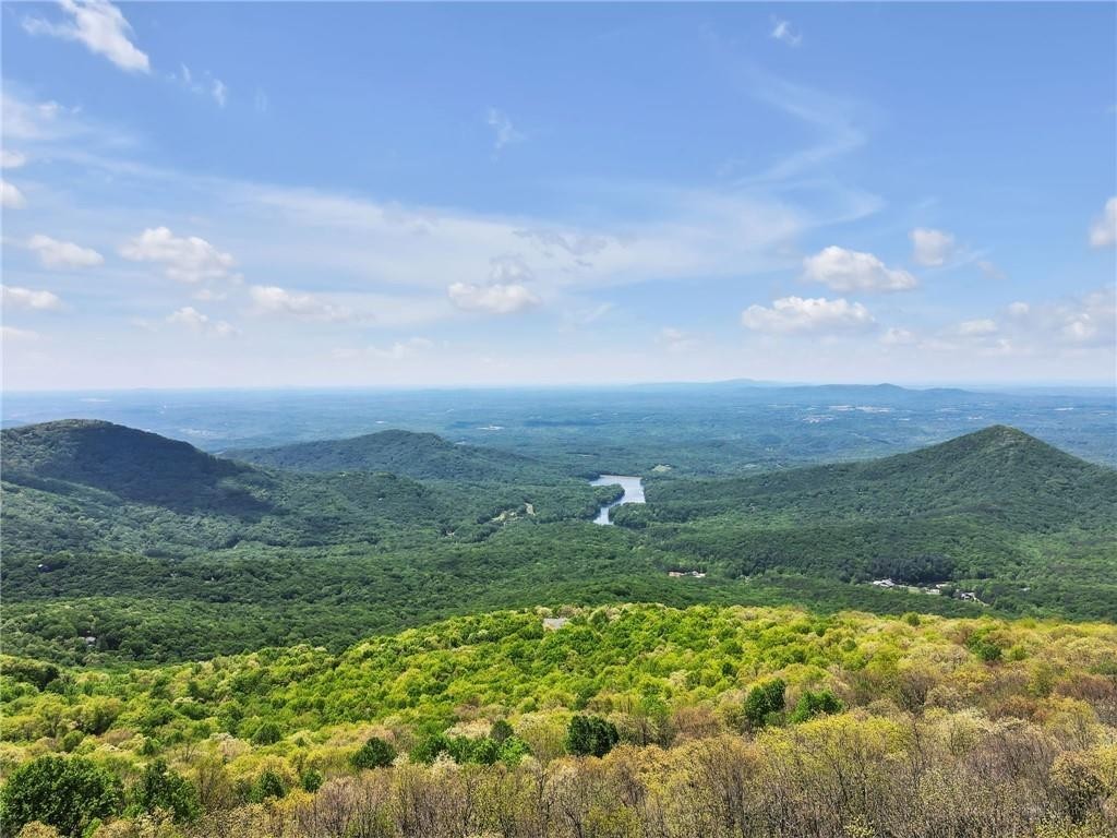 2. 108 Sassafras Mountain Top Lane