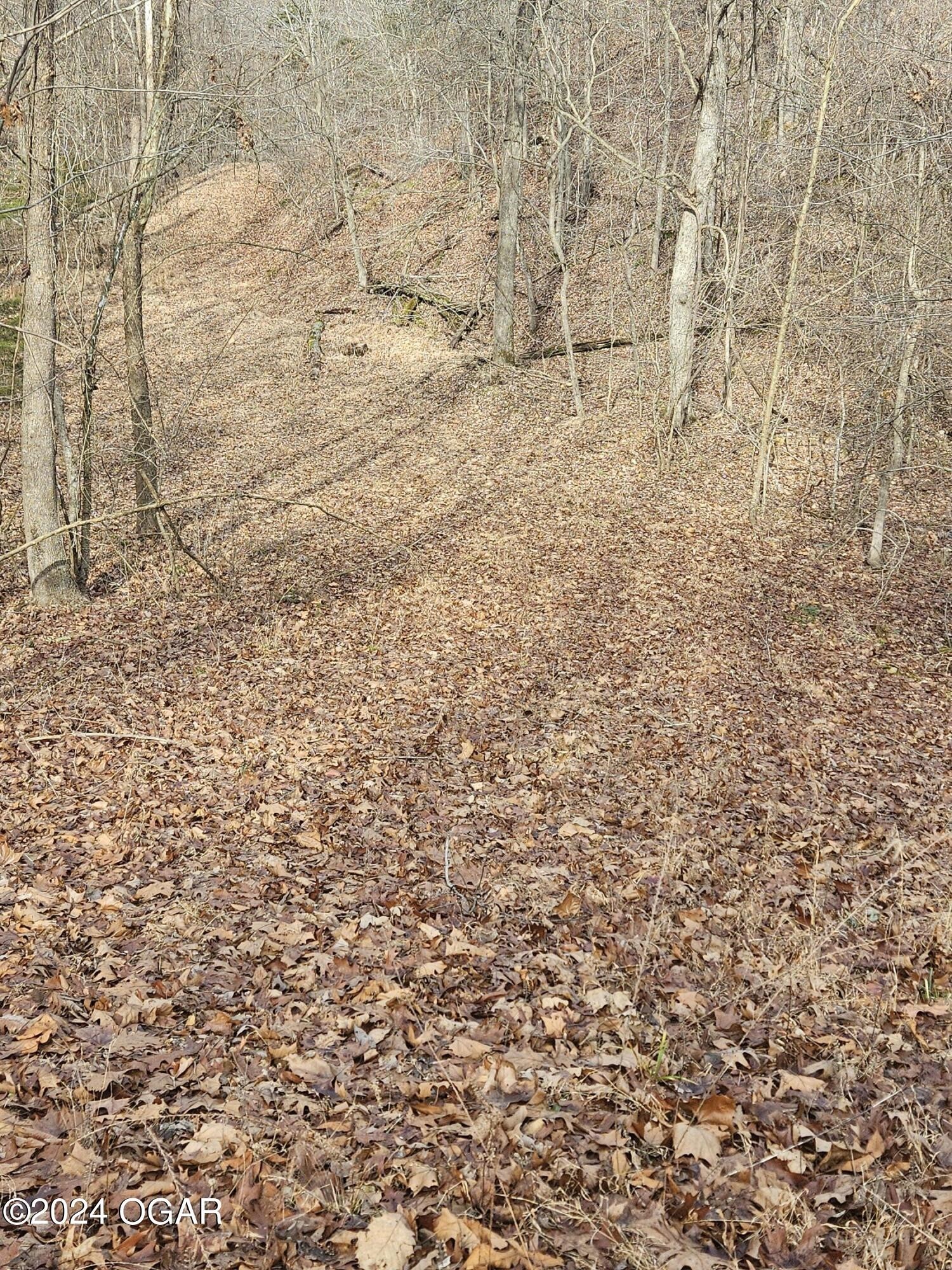 11. 22.76 Acre Styles Road