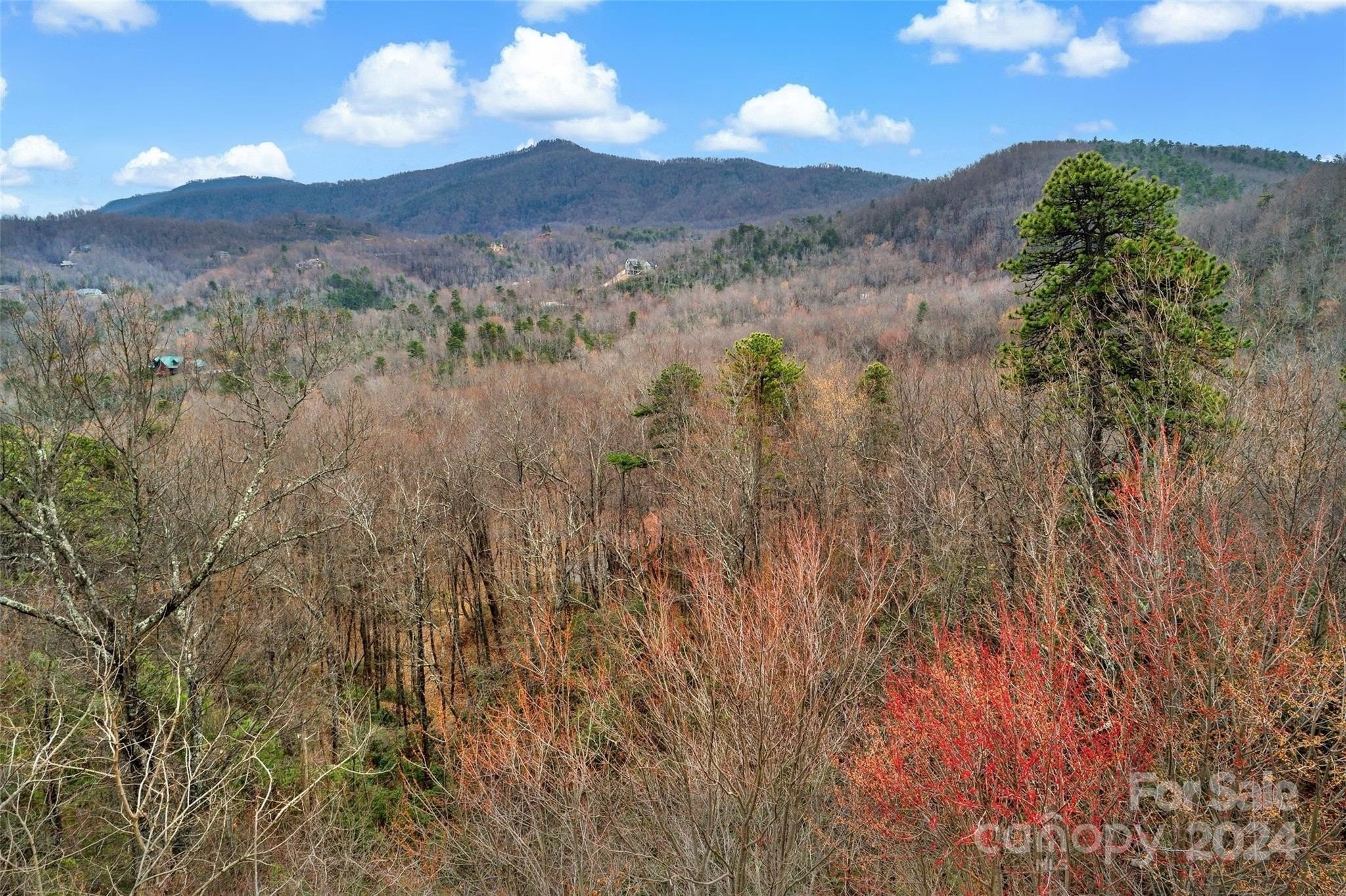 1. Lot 230 Catawba Falls Parkway