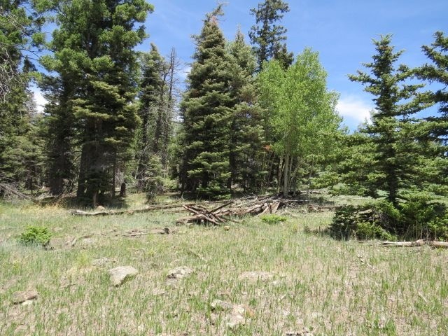 25. Tbd Beaver Loop Lot 149