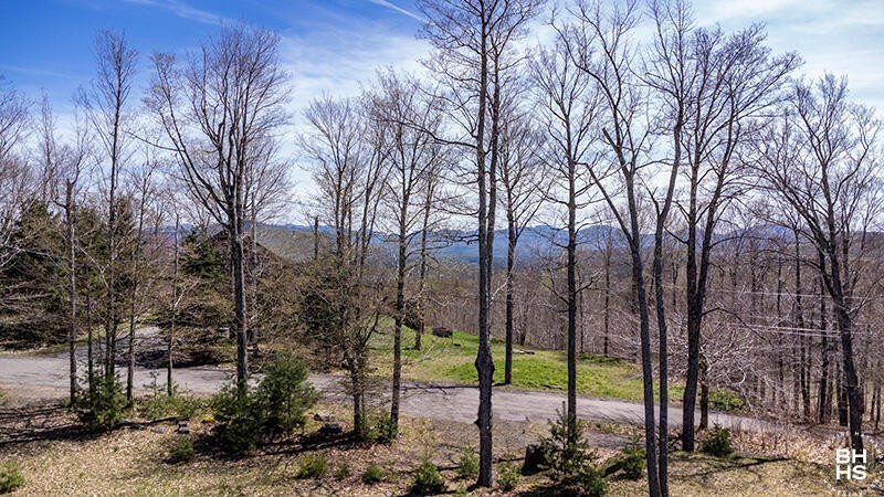 3. 0 Mt Pisgah Park Lot 29