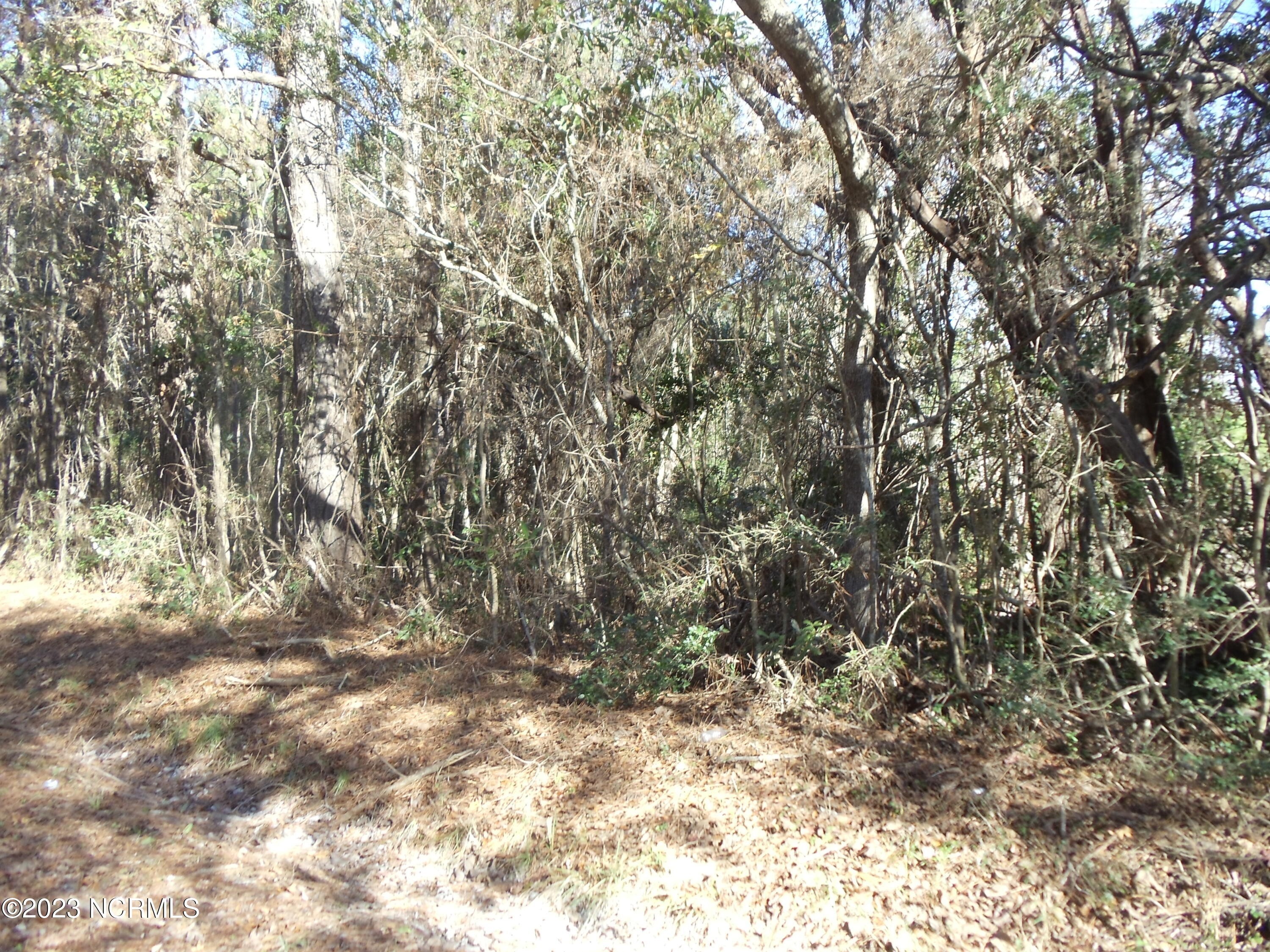1. Tbd Parrot Swamp Loop Road