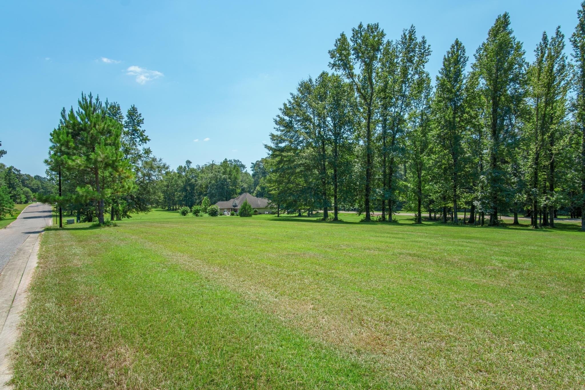 8. Lot 38 Briar Creek Cir.