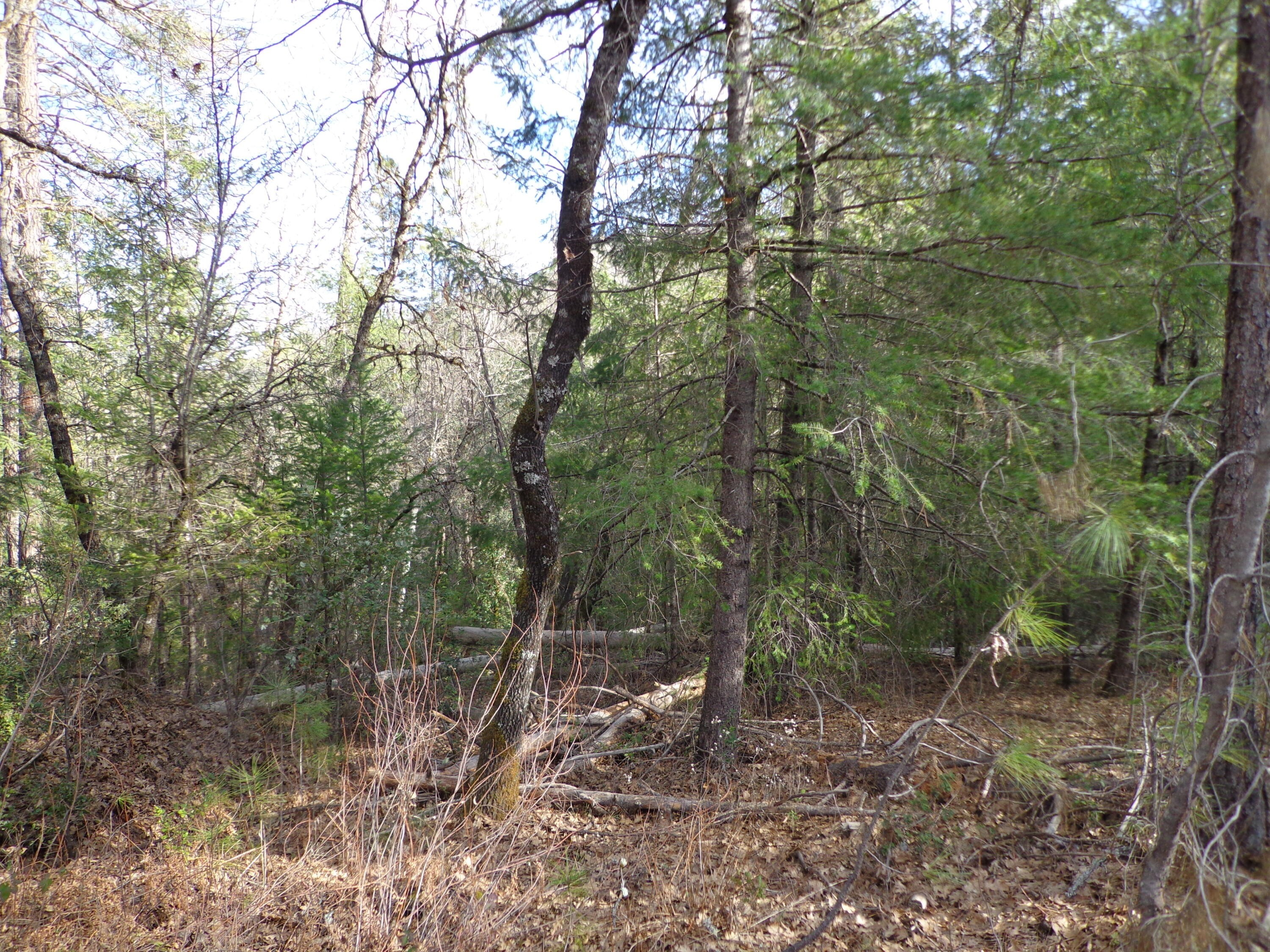 25. 5 Lots, Off Statton Rd