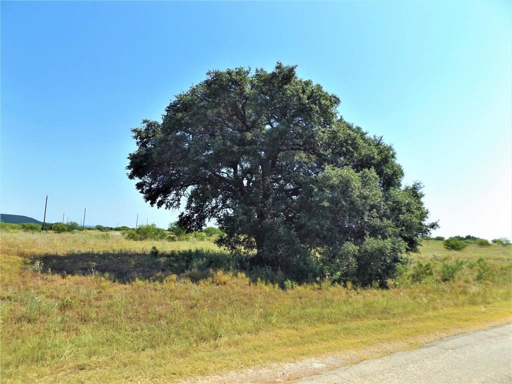 2. Lot 75 Lakeshore Loop