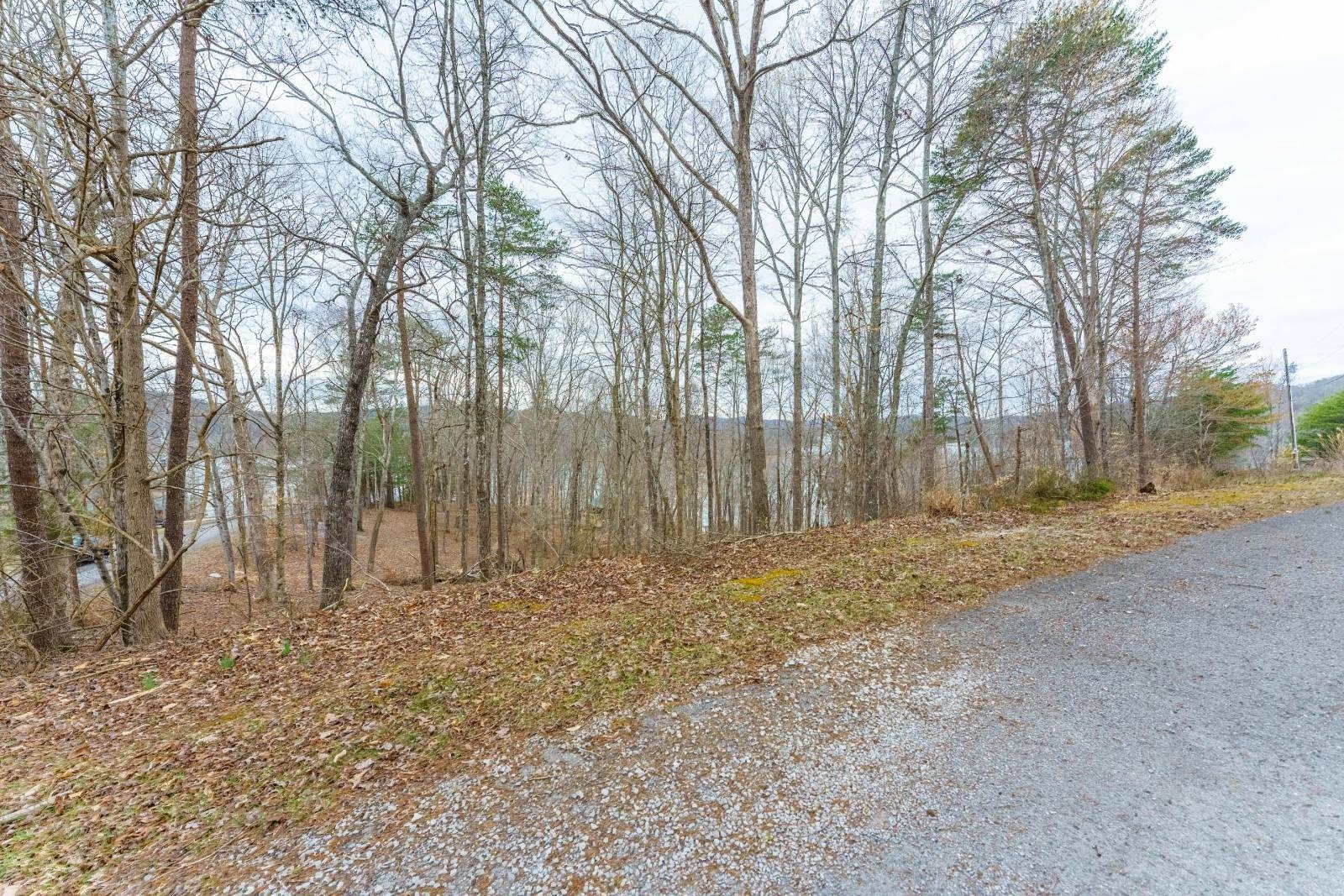 3. Lot 139 Islandview Circle