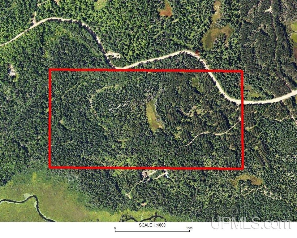 25. 79.7 Acres Co Rd Cco (Red Road)