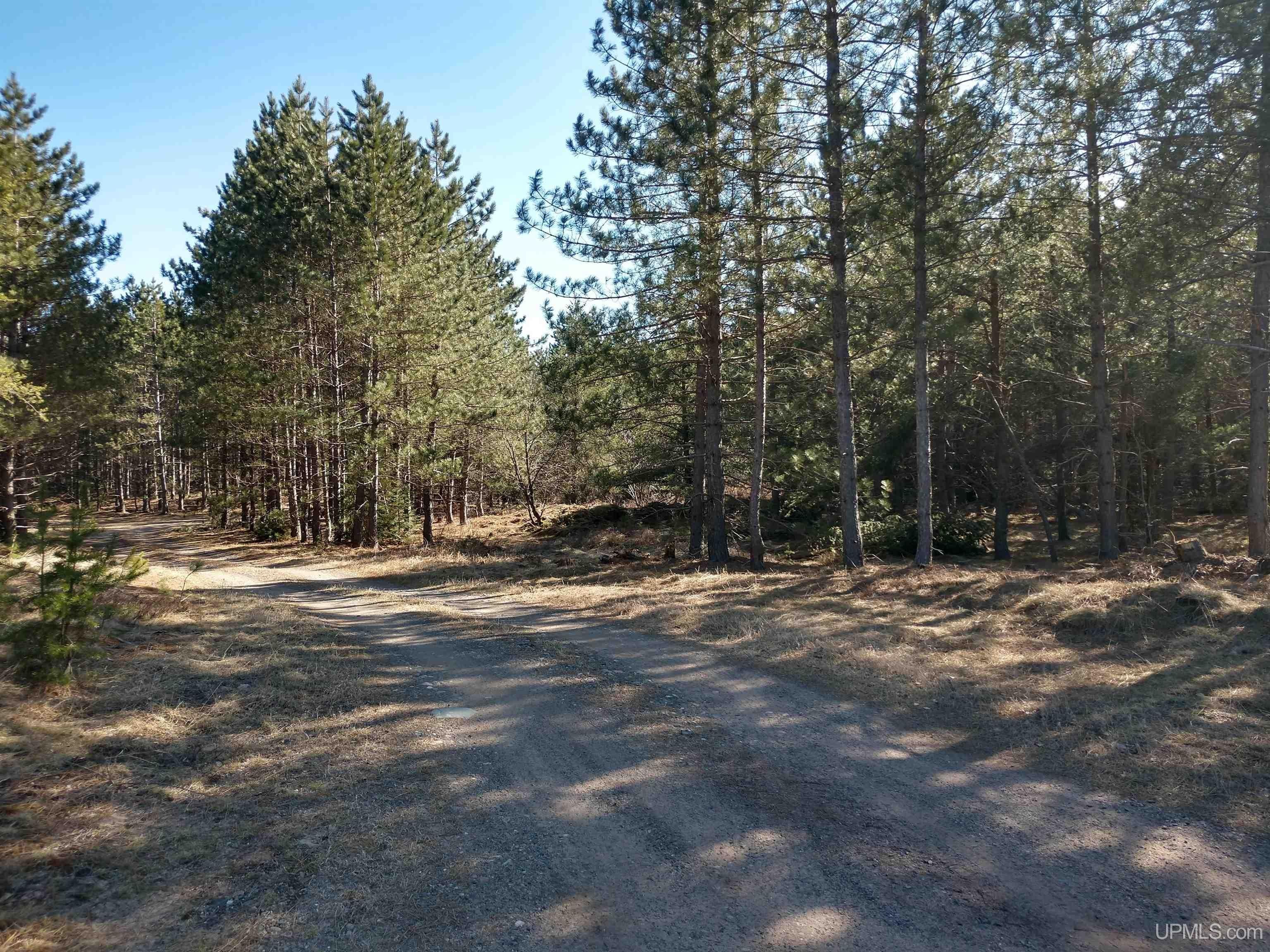 13. 79.7 Acres Co Rd Cco (Red Road)