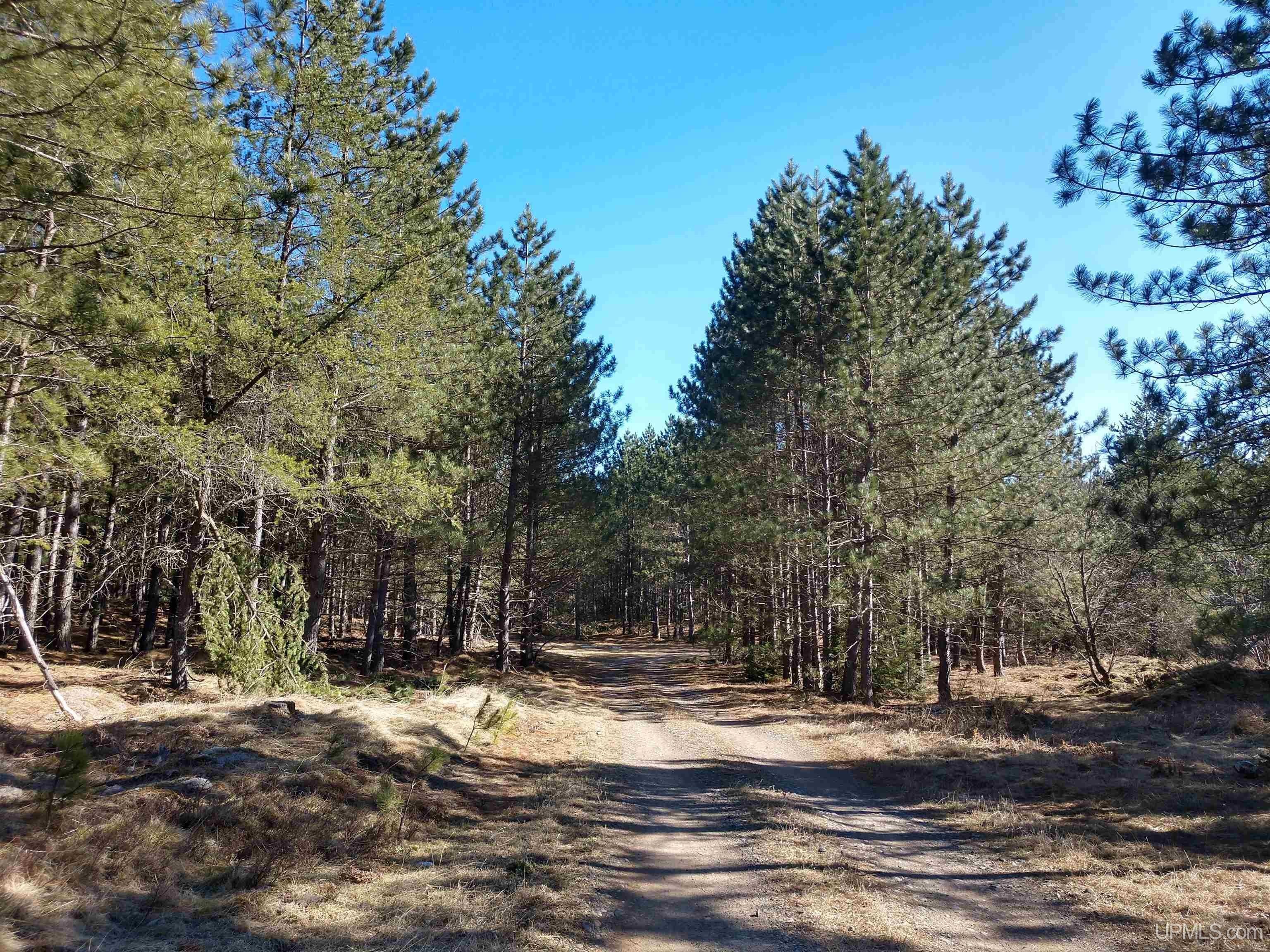 4. 79.7 Acres Co Rd Cco (Red Road)
