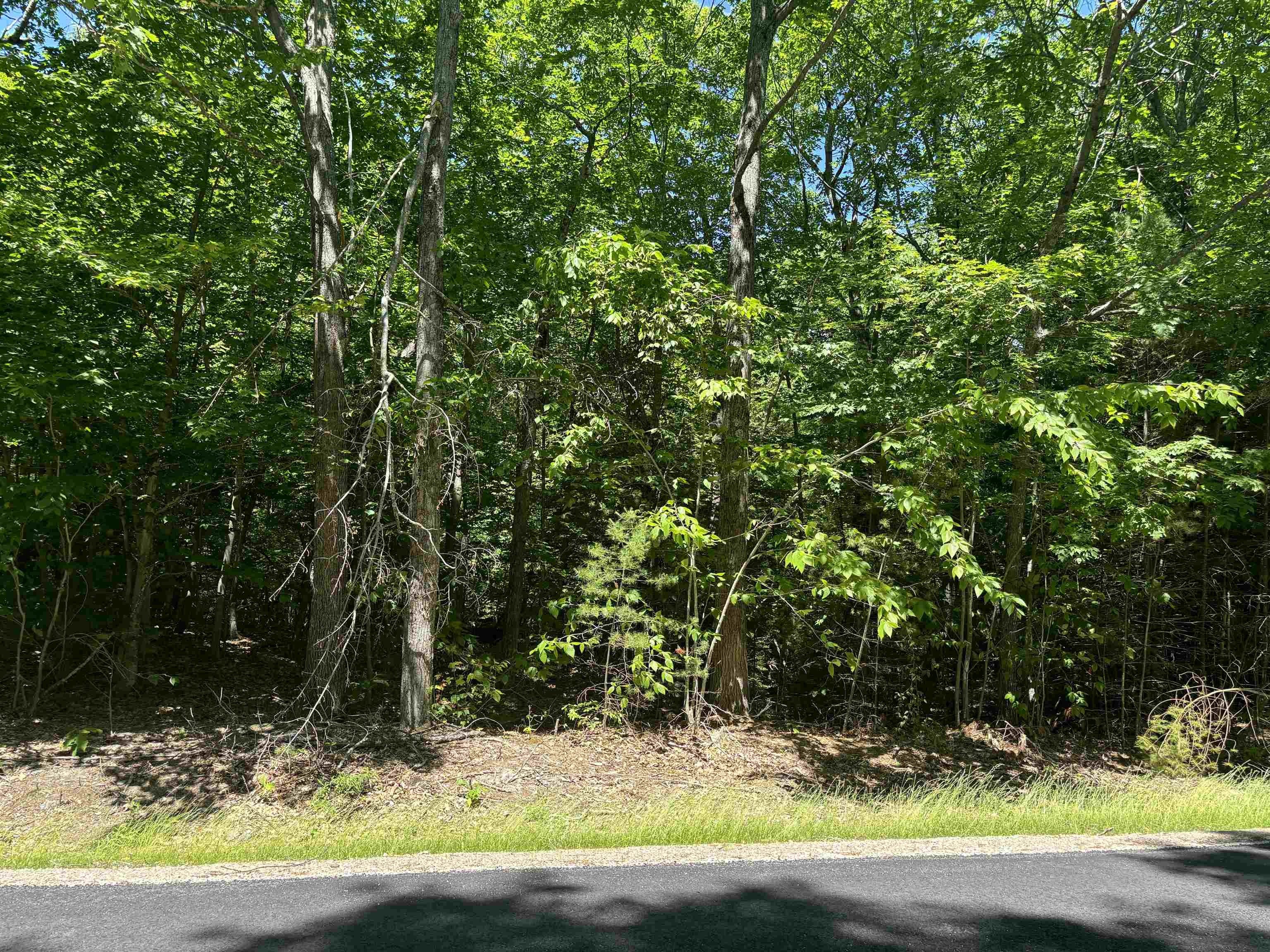 1. Lot 5 Winnipesaukee Drive