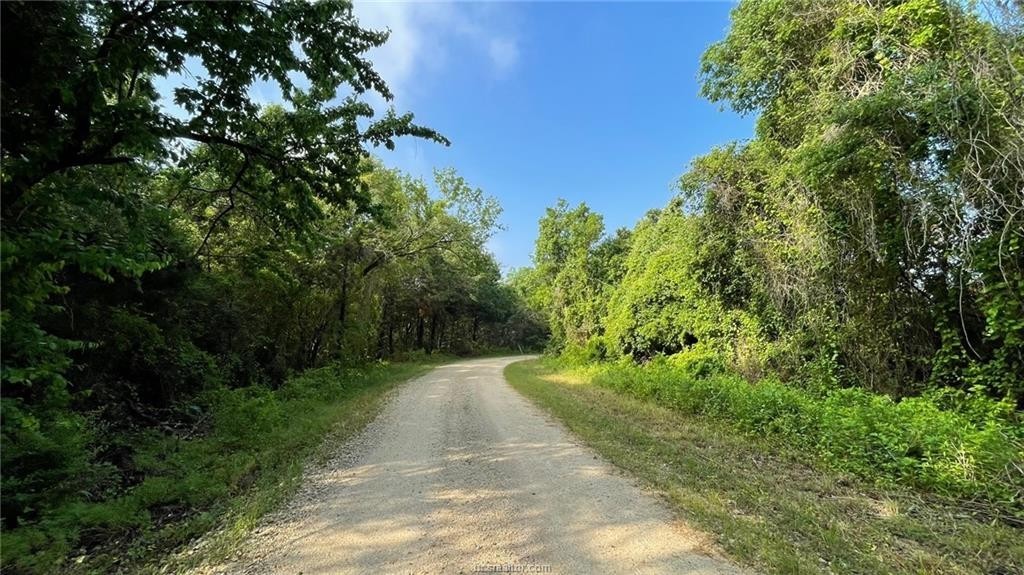 2. Tbd County Road 268 (+/- 4 Acres)