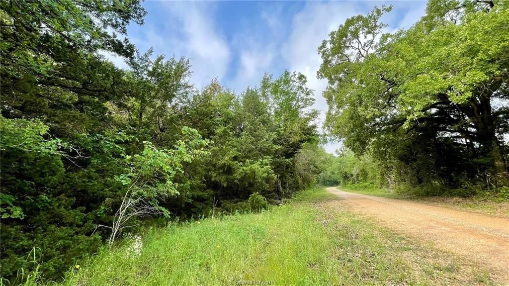1. Tbd County Road 268 (+/- 4 Acres)