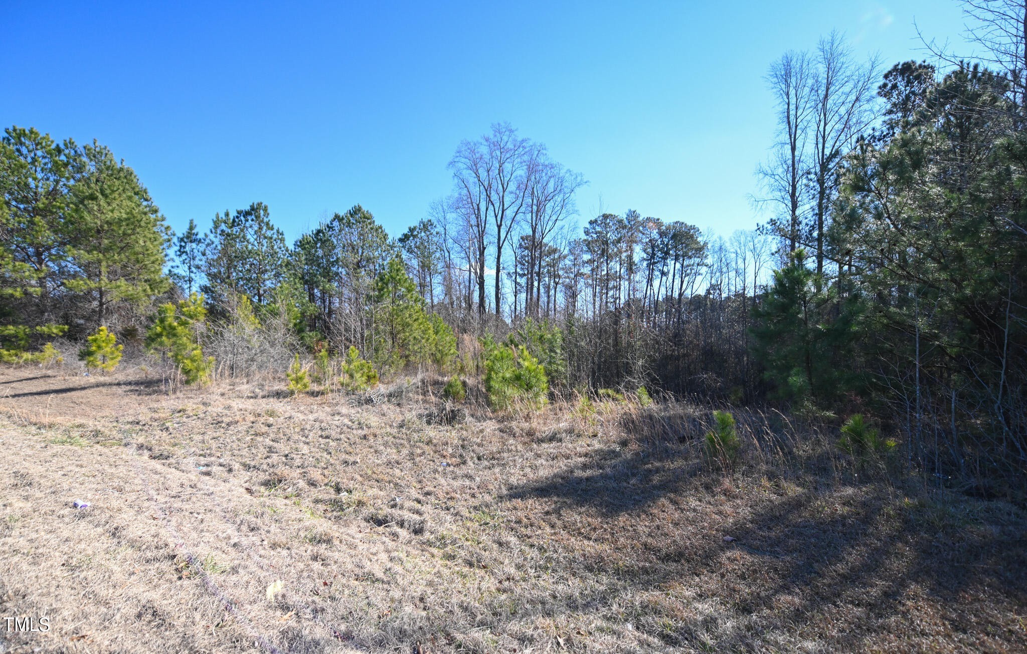 4. Lot 2 S Shiloh Road