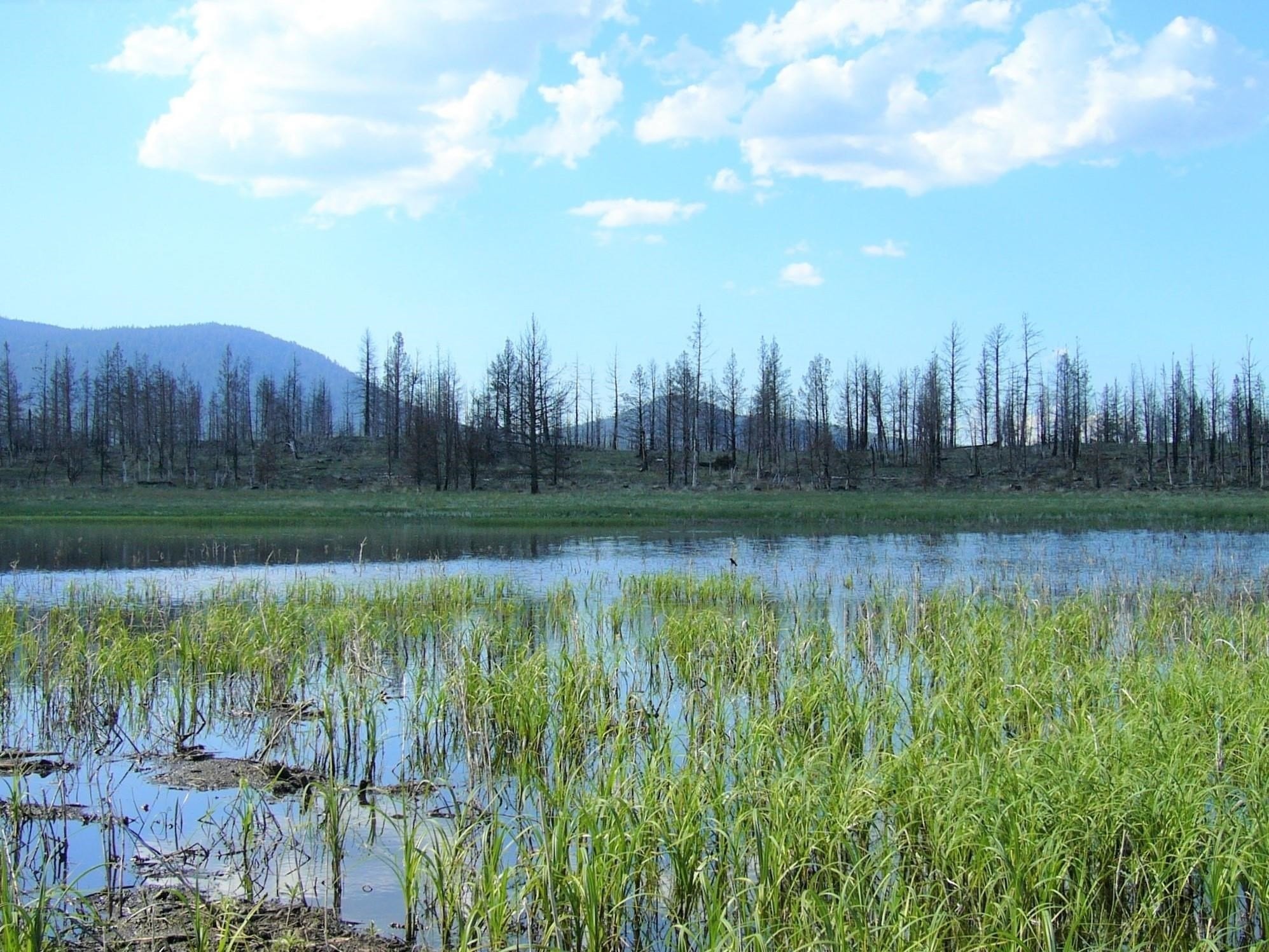 1. 40 Acres Mud Lake