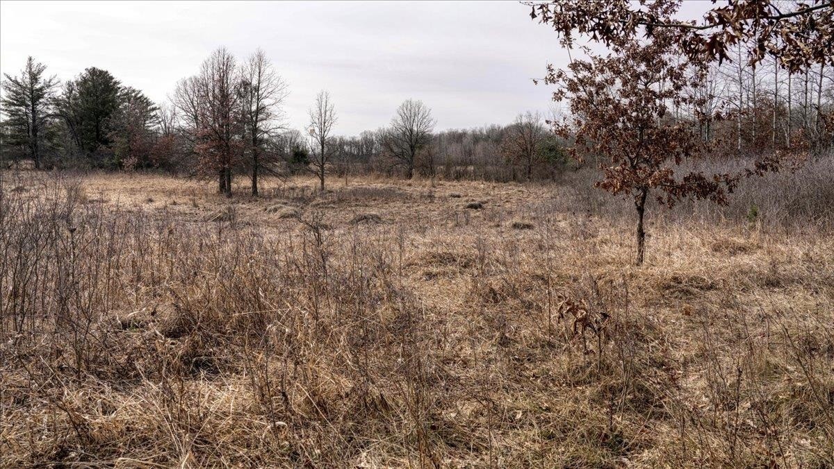 35. 73+/- Acres Germantown