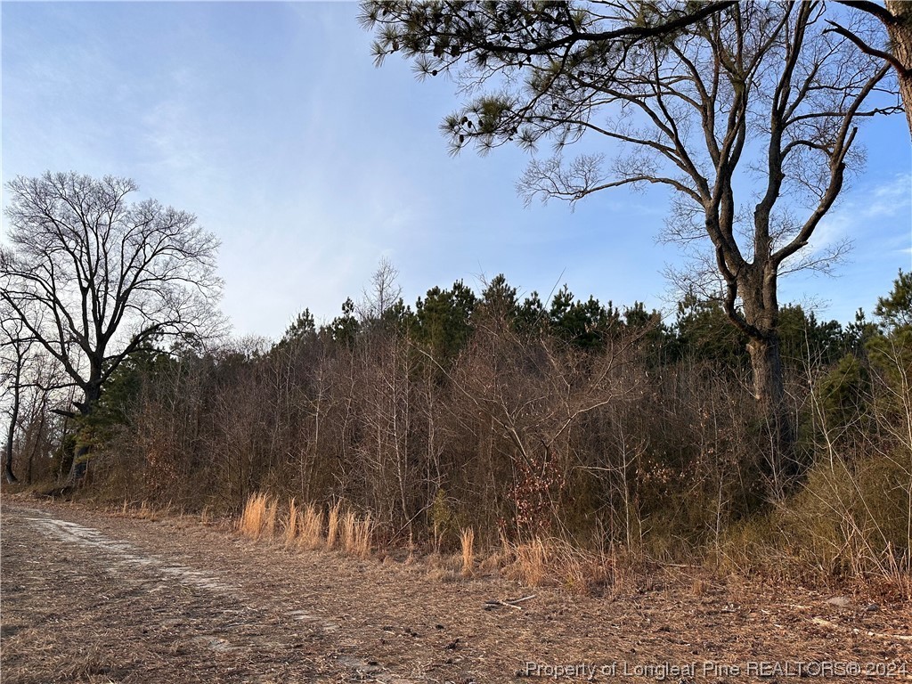 3. Lot 4 Midway Road