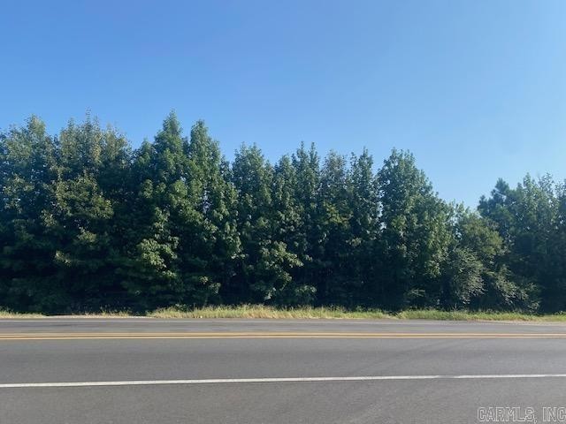 1. 29.4 Acres On Highway 29/Bill Clinton Drive