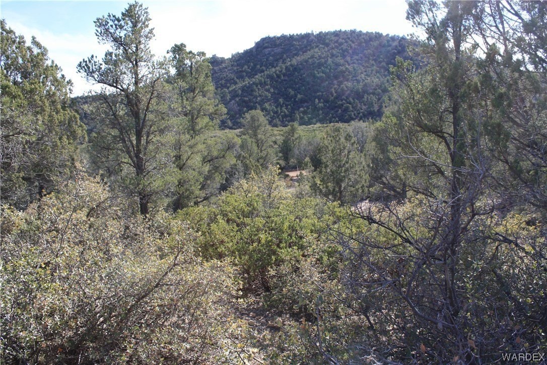 9. 000 Mystic Canyon Rd