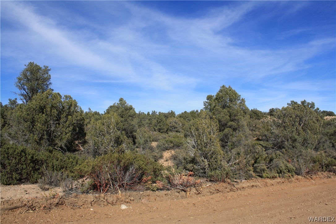 17. 000 Mystic Canyon Rd