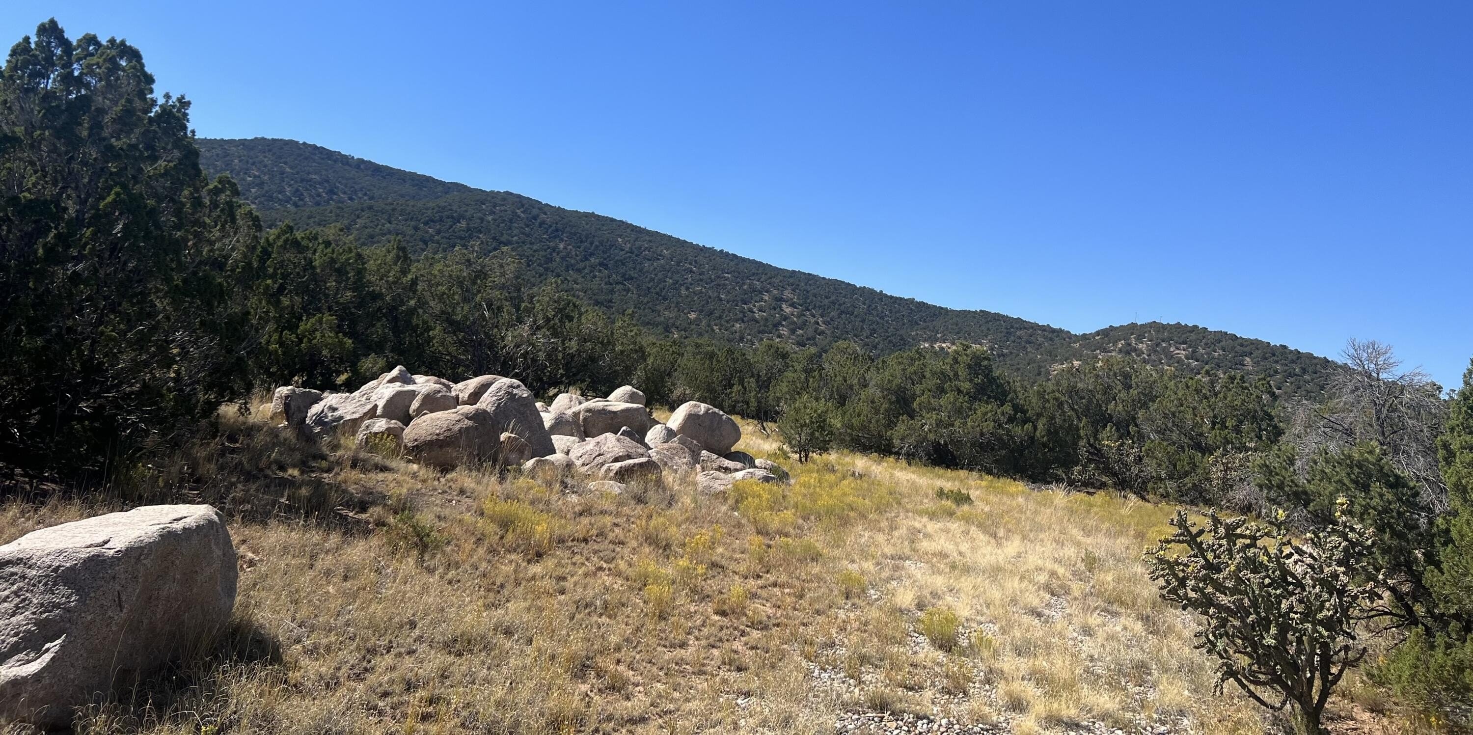 2. Pinon Ridge