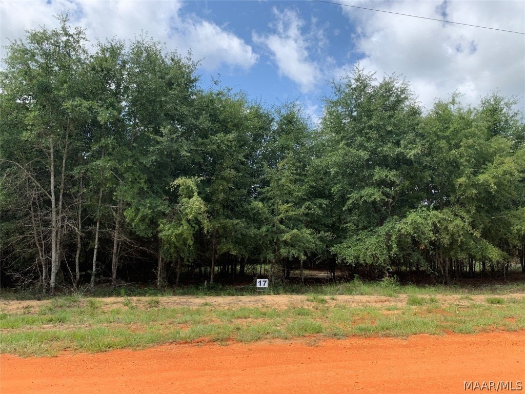 1. Lot 17 Deer Loop