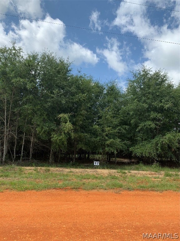 2. Lot 17 Deer Loop