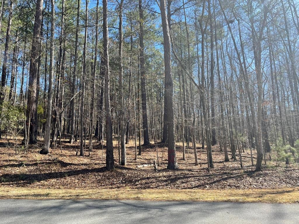 2. Lot 149 Piedmont Lake Road