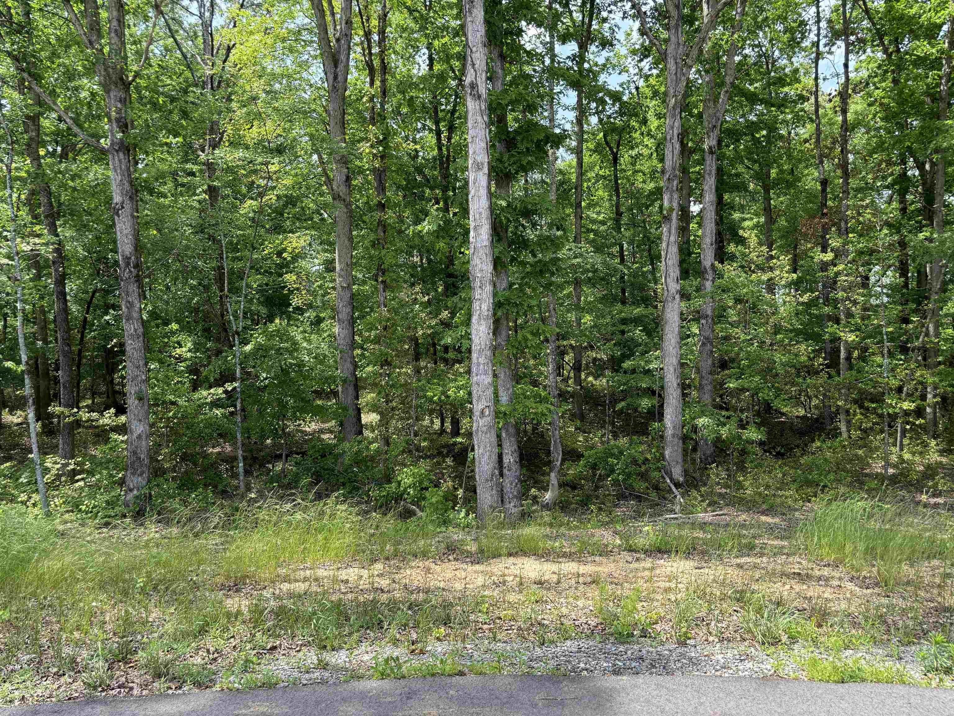 1. Lot 23 Grant County Road 763