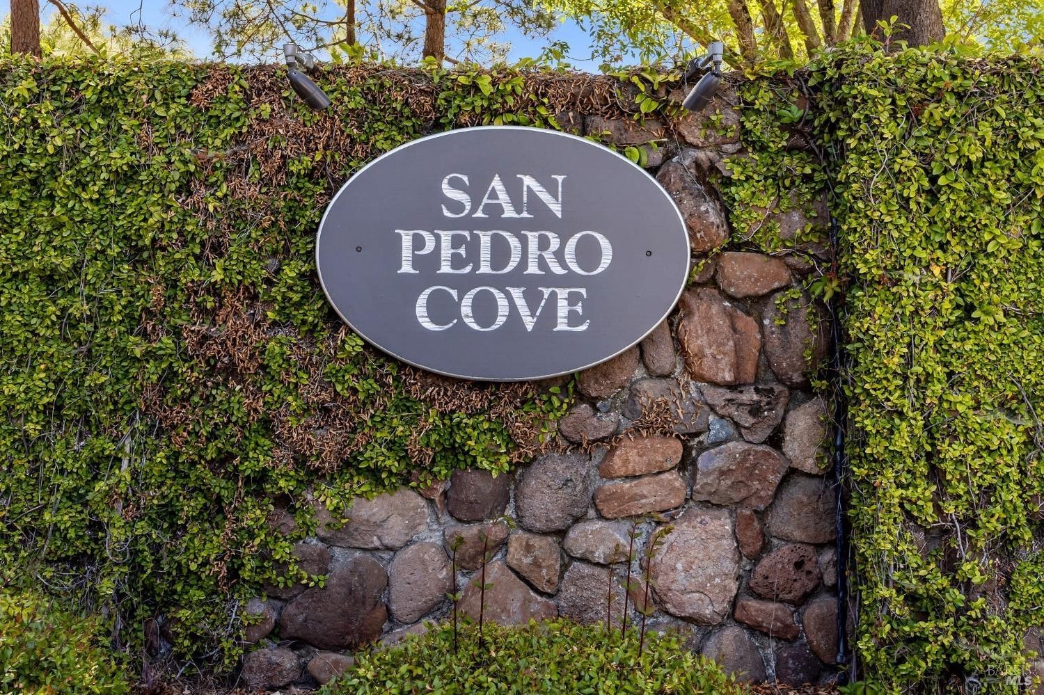 50. 502 San Pedro Cove