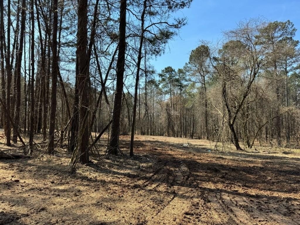 4. 113 Hickory Flat Road Lot 1