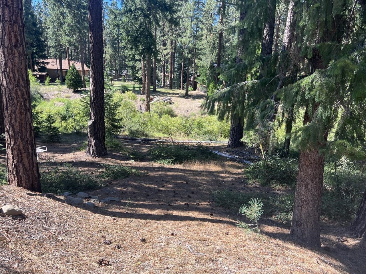 7. 392 Sequoia Circle