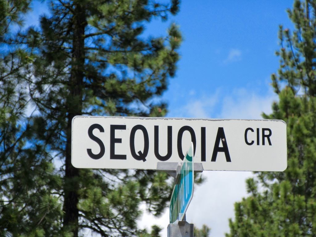 19. 392 Sequoia Circle
