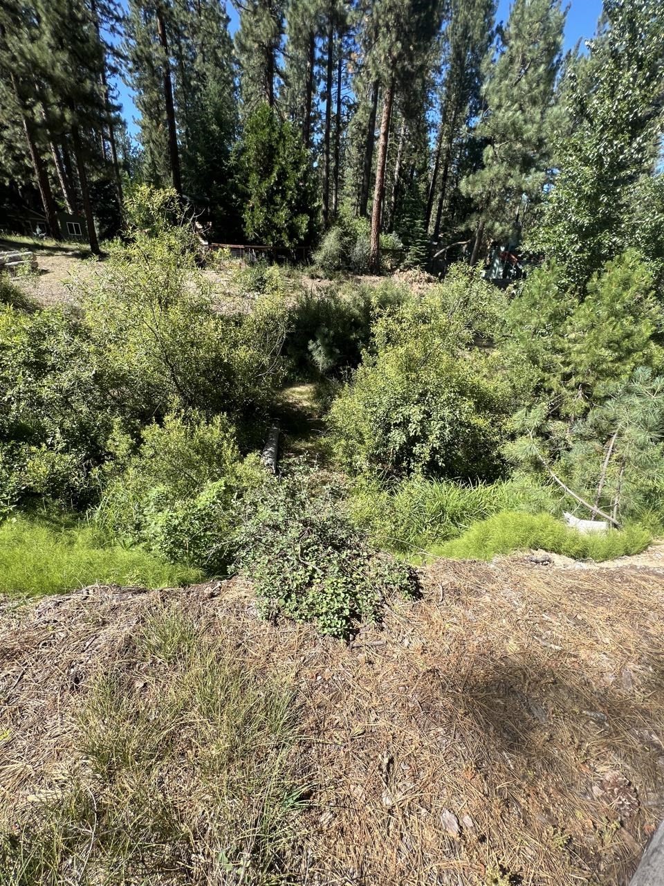 15. 392 Sequoia Circle