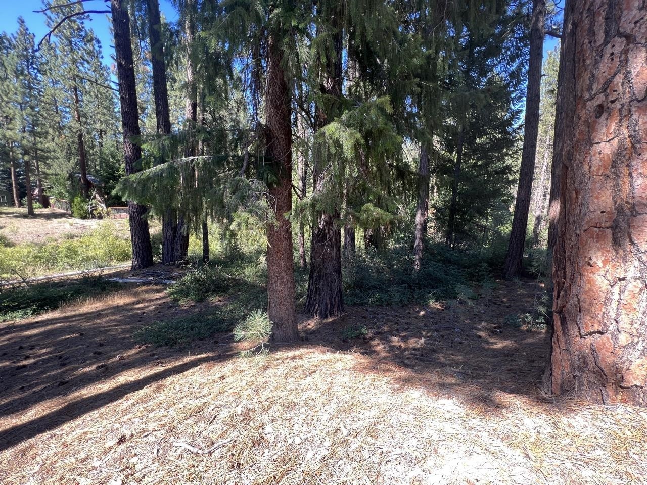 9. 392 Sequoia Circle