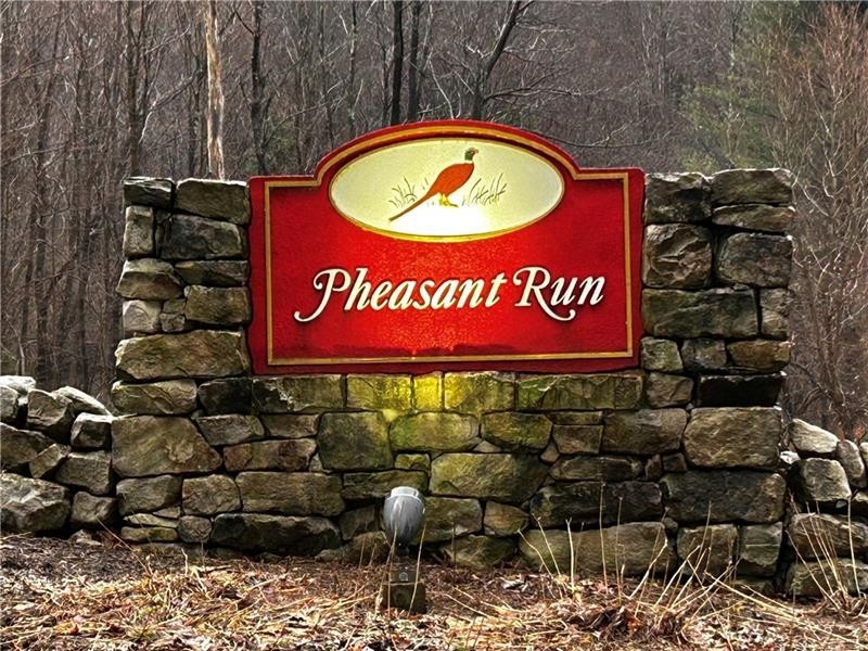 2. Lot 20- 509 Pheasant Run Lane