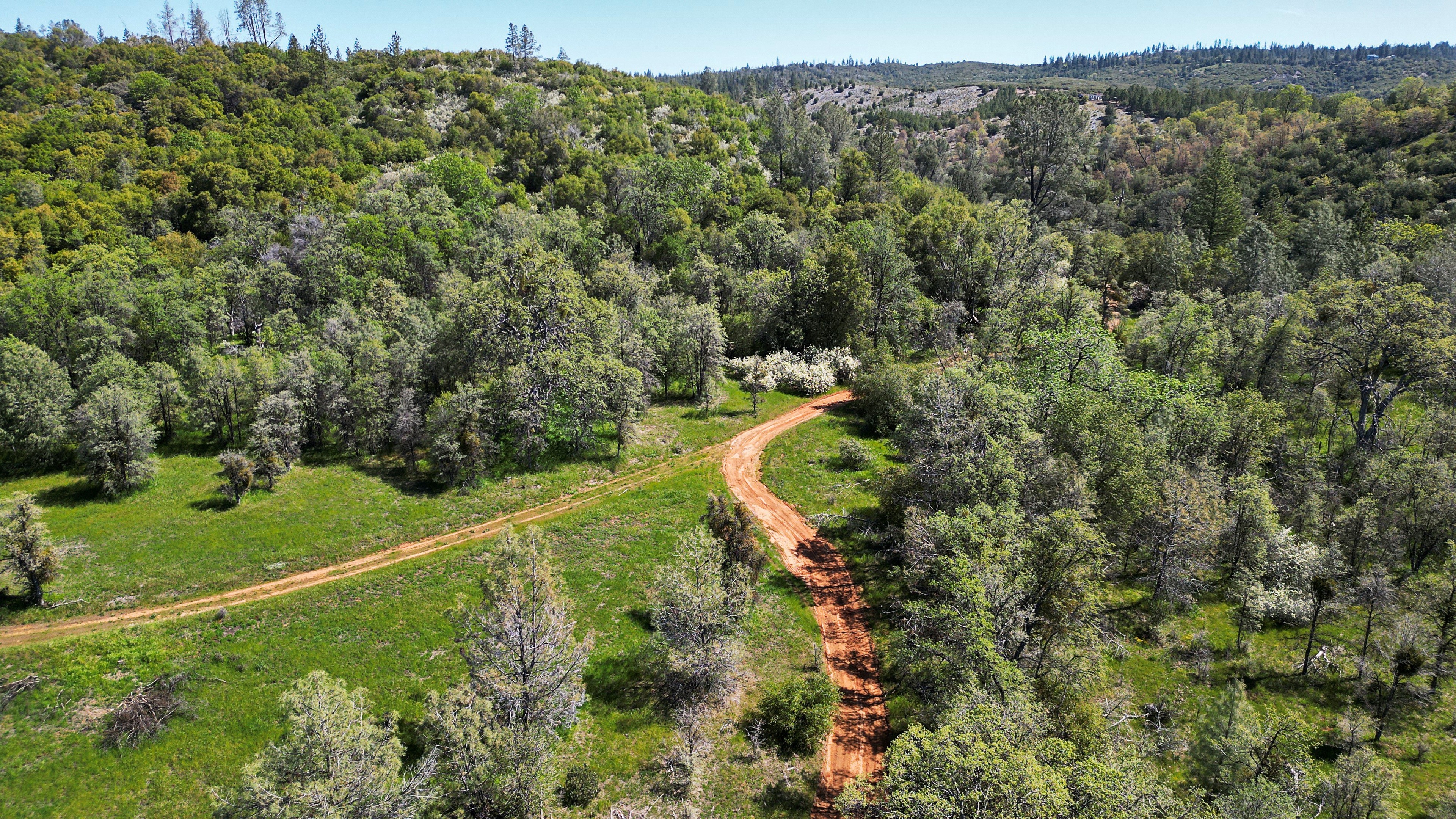 39. Priest Coulterville Road Jackass Creek Access Road