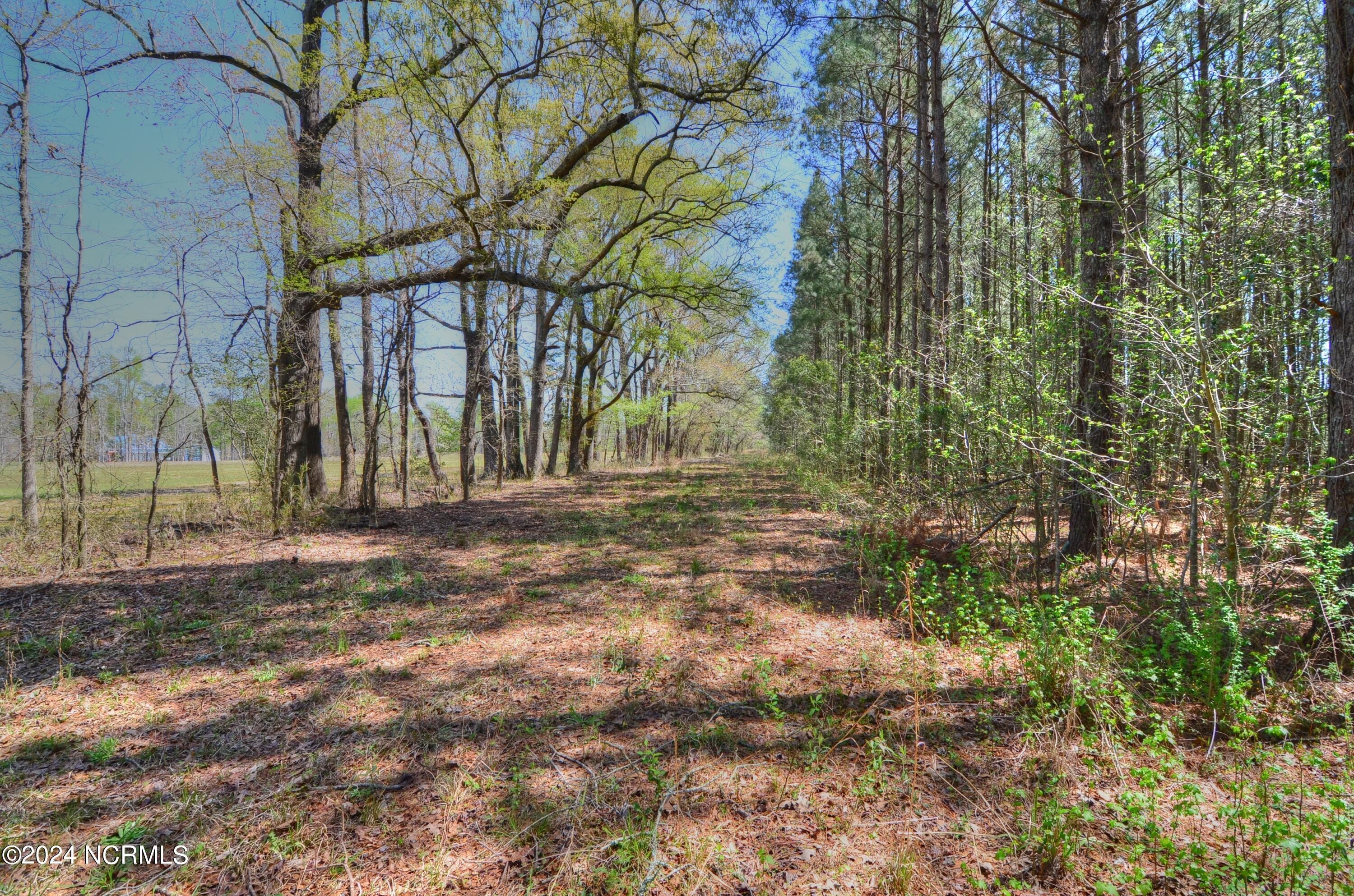 17. 4370 Us-Hwy. 117 S. (20+/- Acres)